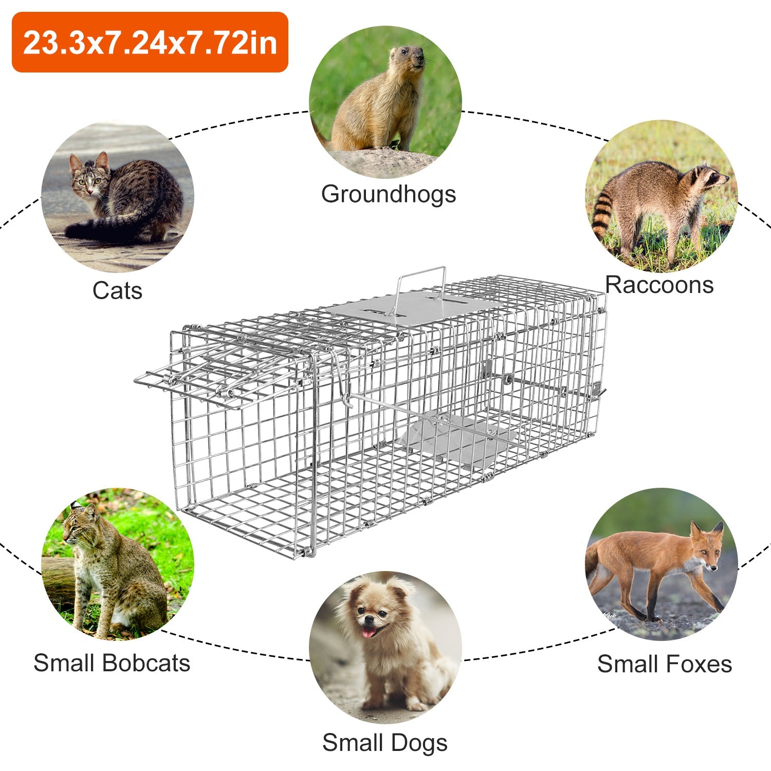 humane trap for safe animal capture without harm