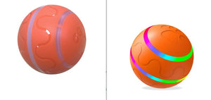 interactive cat toy for indoor exercise and activity