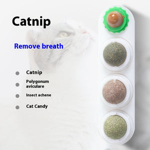 Indoor catnip entertainment toy for playful cats