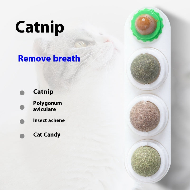Indoor catnip entertainment toy for playful cats