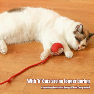 Interactive rolling cat ball toy with lights