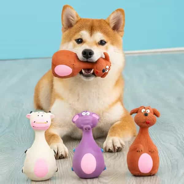 4PCS latex squeaky dog chew toy set