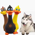 : Latex screaming duck dog toy with squeaky sound