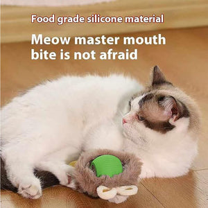 Light up rolling cat ball for entertainment