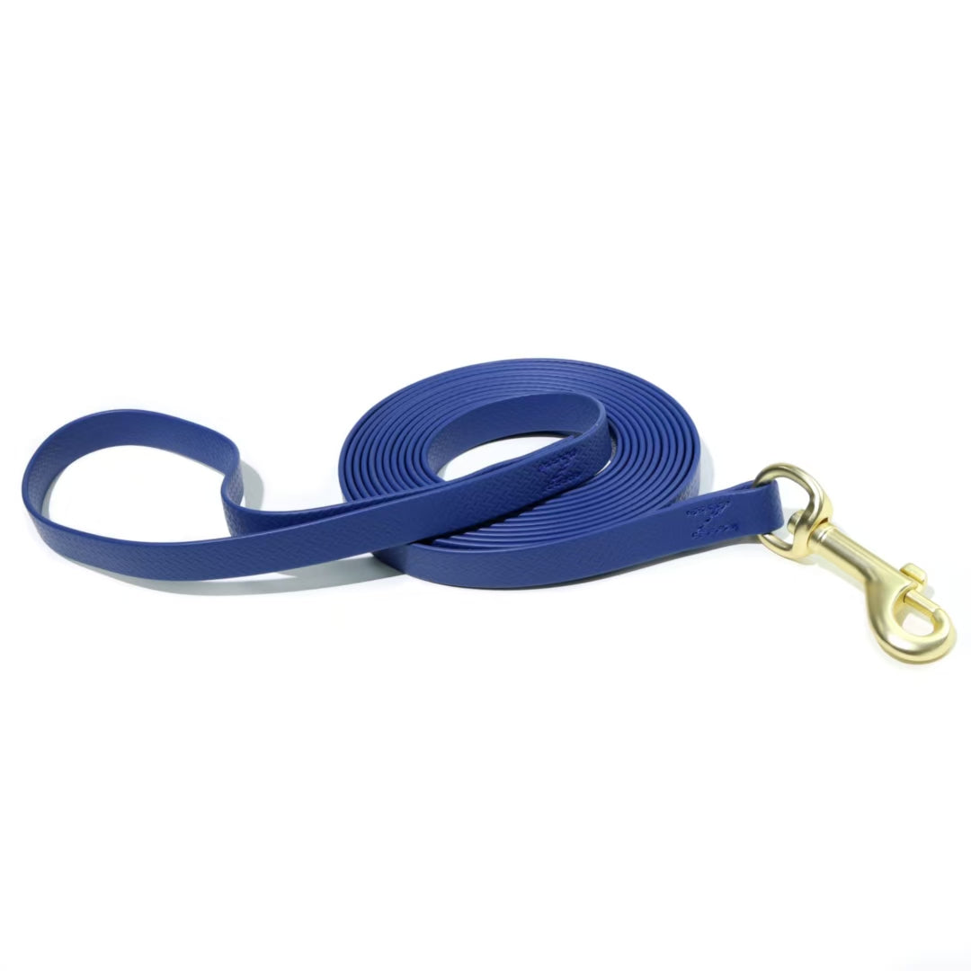Long dog training line for tracking and recall practice