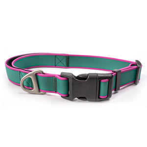 Military style dog collar with secure control design