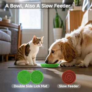 Multi layer pet bowl feeding station