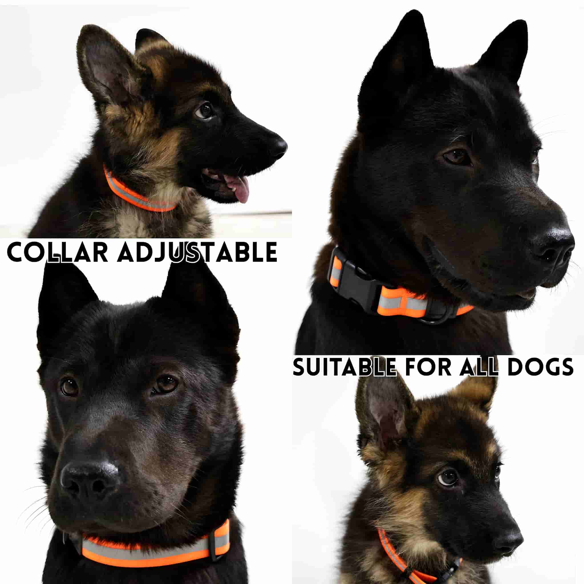 Night safety dog leash with high visibility reflective design