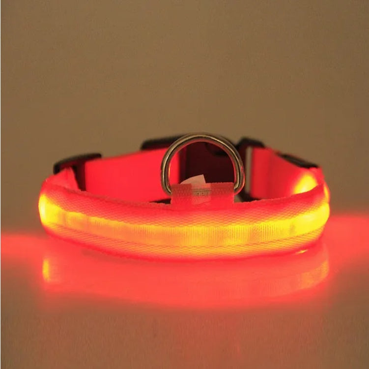 LED safety collar for dogs during night walking visibility