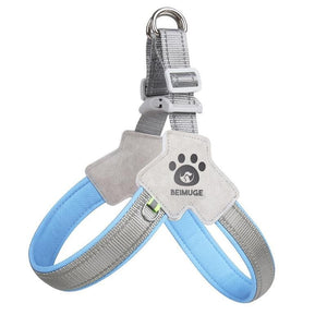 No pull dog harness for safe walking and training
