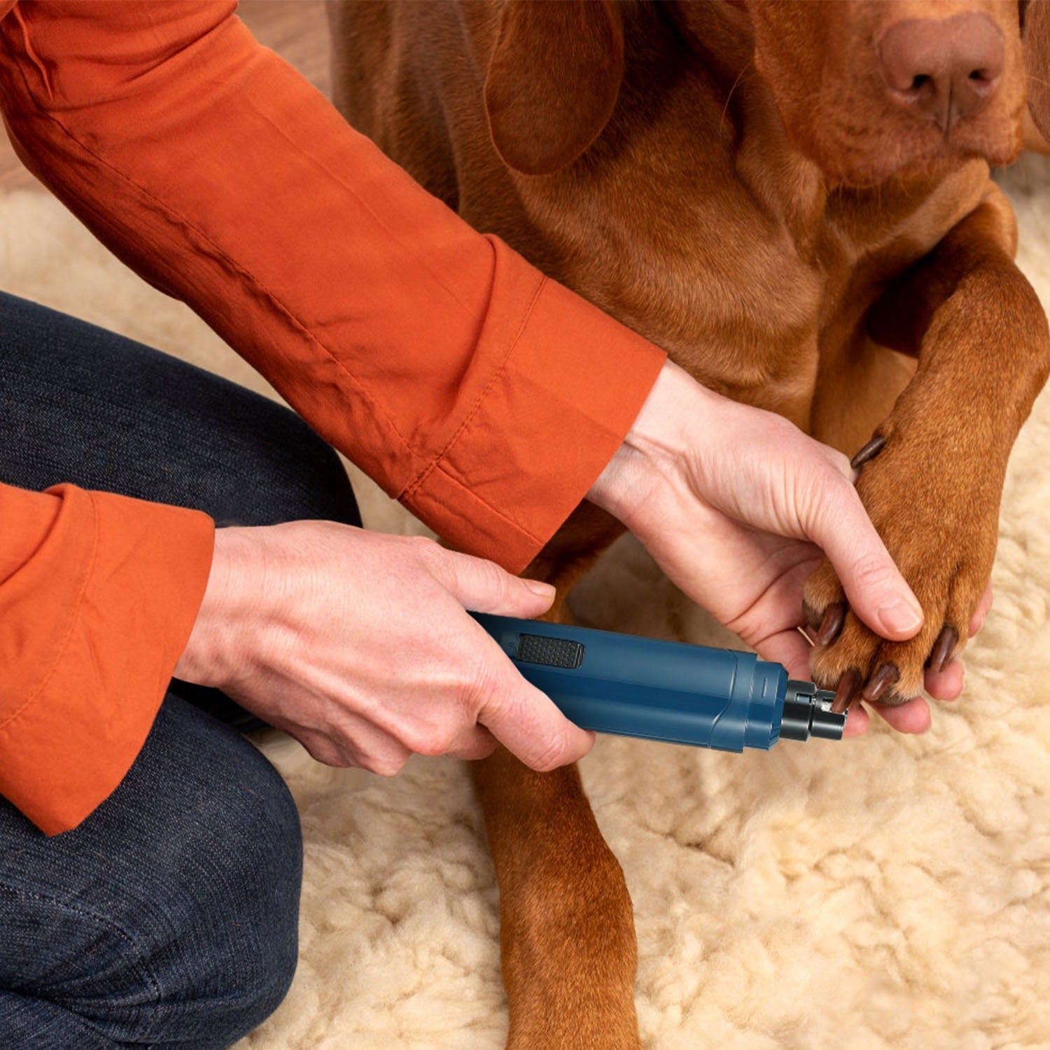 pet claw care grinder safe trimming tool for dogs and cats