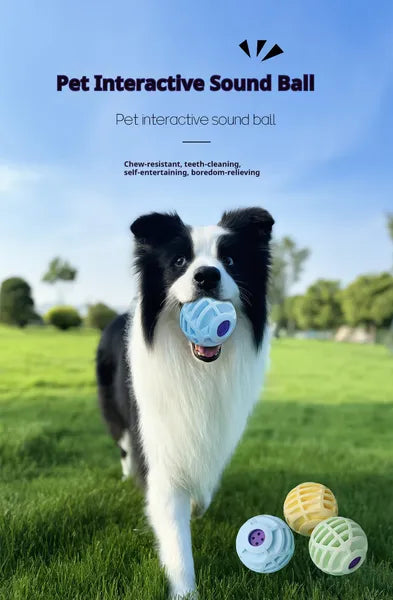 Pet interactive sound ball squeaky toy for dogs and cats