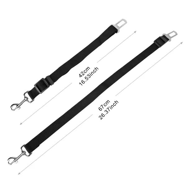 Pet seat belt leash attached to car seat buckle