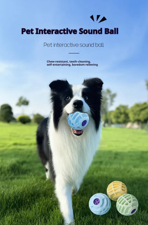 Pet training sound ball for active play