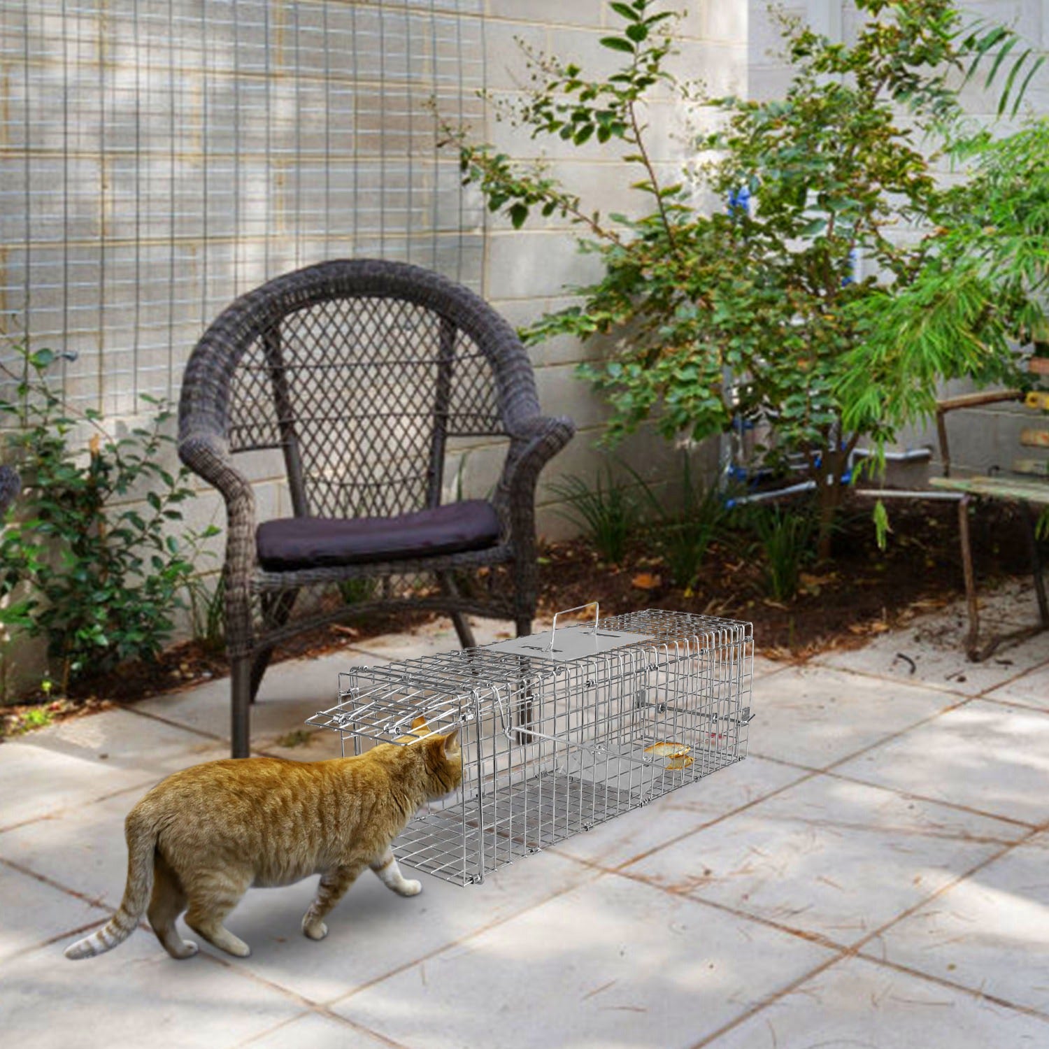 collapsible portable animal trap easy to store