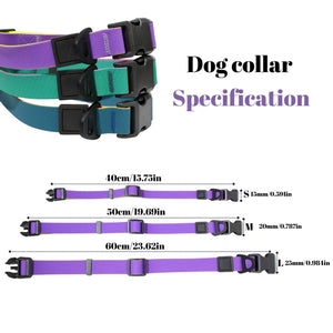 Premium pet walking leash set with comfortable grip design