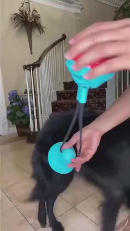 How to Use an Interactive Suction Cup Dog Toy for Indoor Play