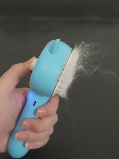Pet Coat Cleaning Brush with Mist Spray