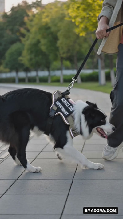 USLOCAL Tactical Service Dog Harness – Adjustable No Pull Reflective Dog Vest With Control Handle