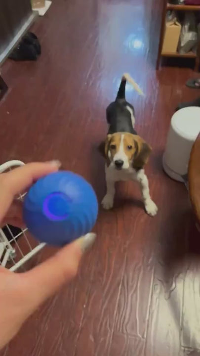 durable dog ball for outdoor play and exercise