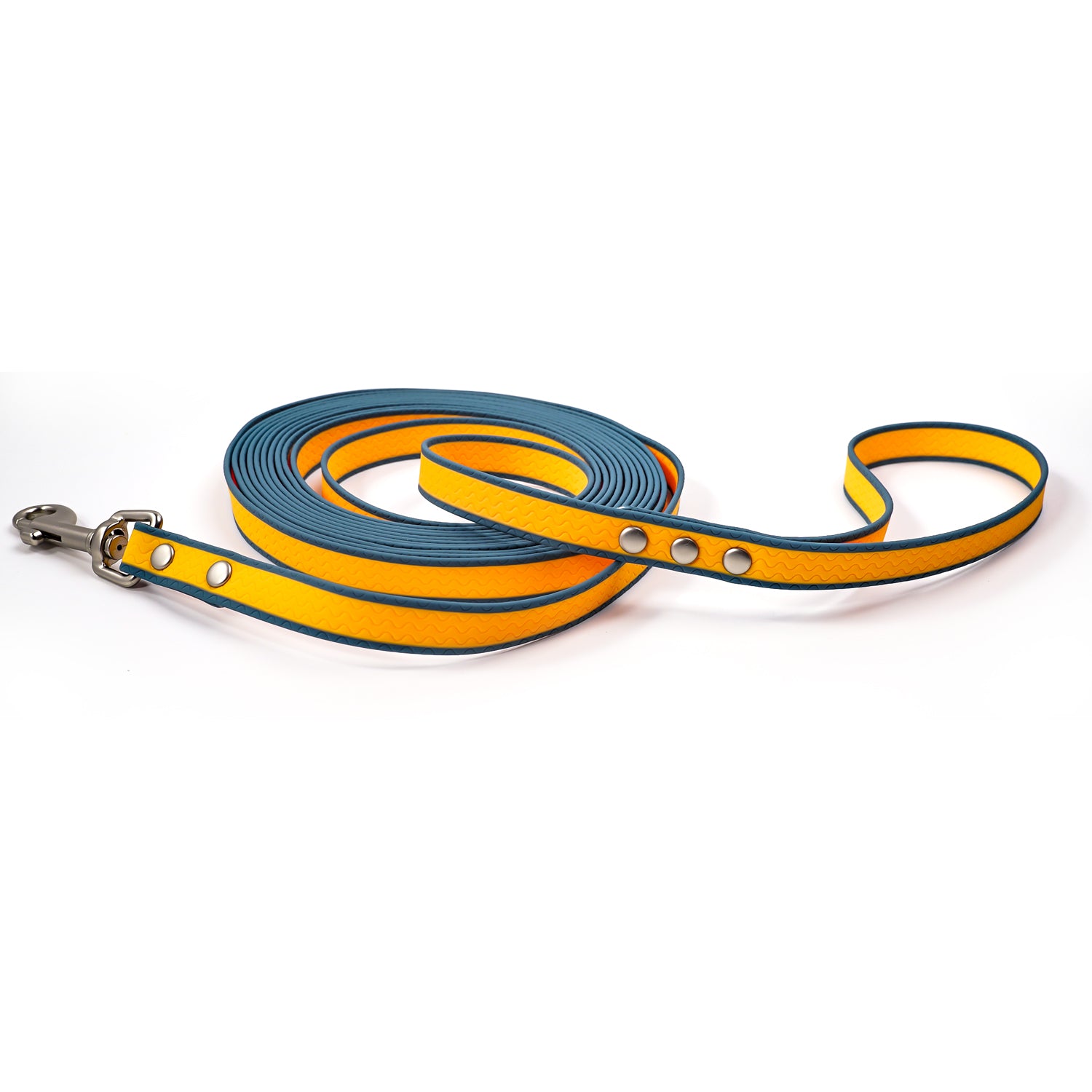 Professional dog recall leash for obedience practice