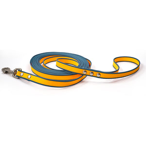 Professional dog recall leash for obedience practice