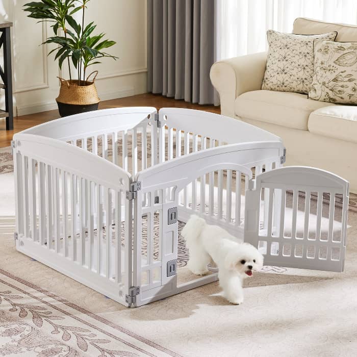 Foldable pet exercise playpen for puppies set up outdoors in garden