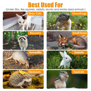 galvanized steel humane raccoon trap durable design