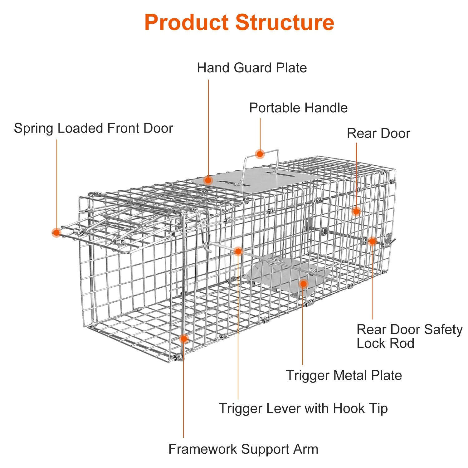 raccoon trap setup using best raccoon bait