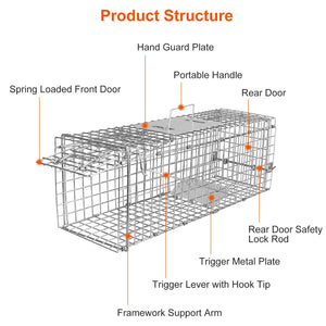 raccoon trap setup using best raccoon bait