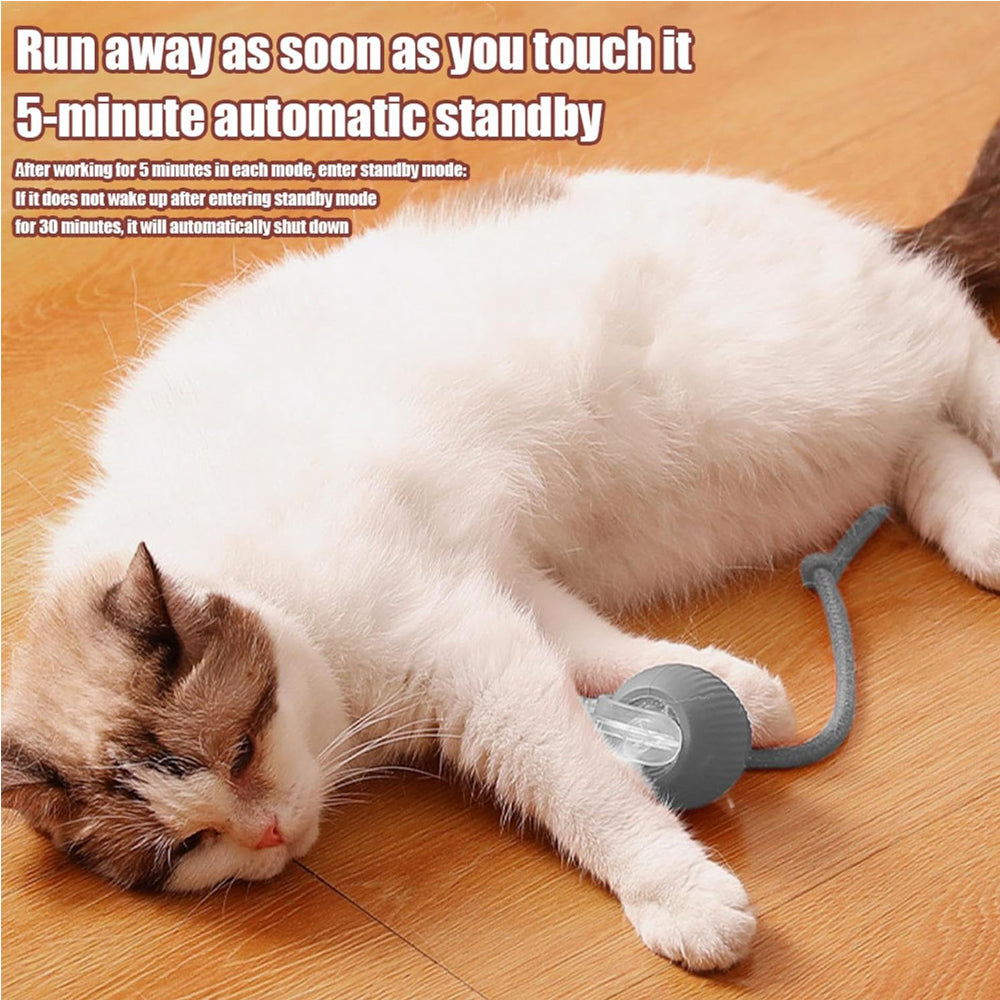 Rechargeable interactive play ball for cats