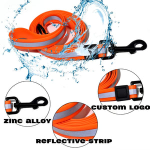 Reflective pet walking set for outdoor dog activities