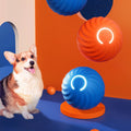 rubber dog ball chew toy for training and play