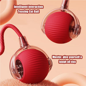 Durable silicone ABS rolling cat ball toy