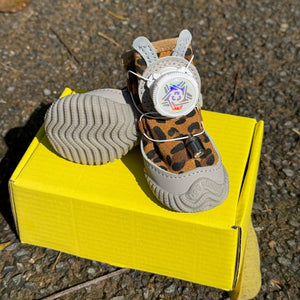 Small dog light up shoes for safer night walks