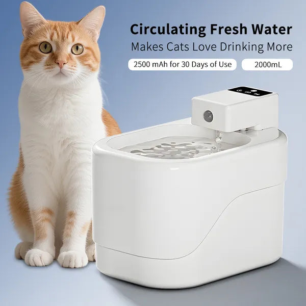 Small Sugar automatic pet water fountain