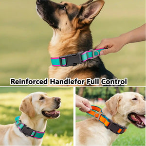 actical working dog collar with heavy-duty adjustable design