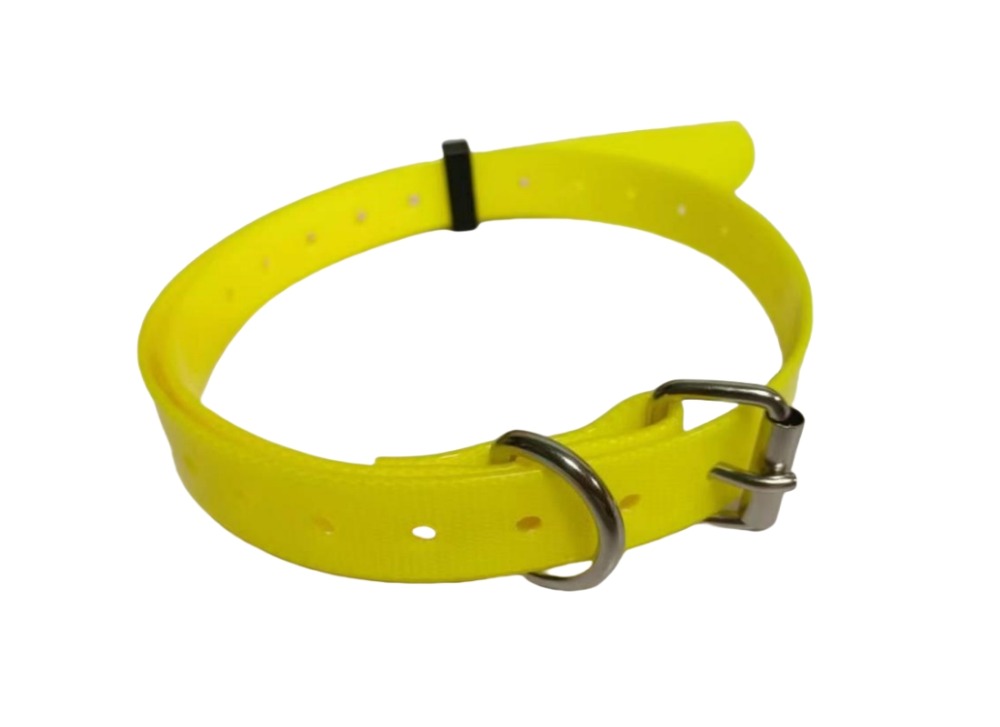 Durable waterproof dog collar for active dogs