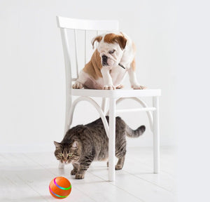 USB rechargeable intelligent cat ball toy for indoor cats