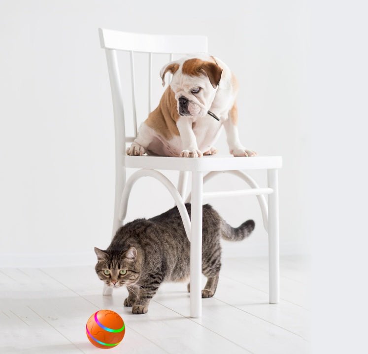 USB rechargeable intelligent cat ball toy for indoor cats