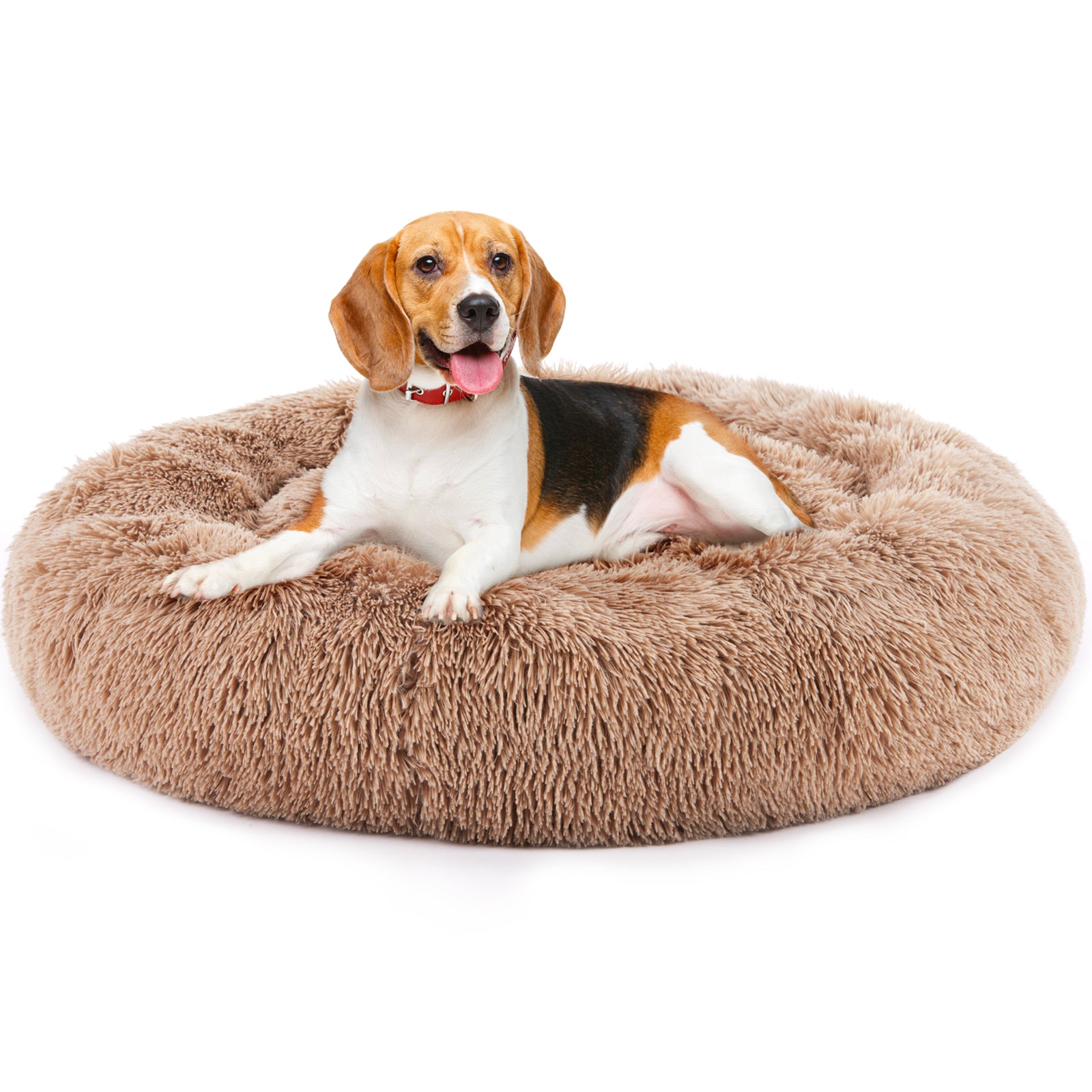 Bottom view showing non-slip base of a washable pet bed