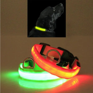 waterproof LED pet collar for outdoor safety use