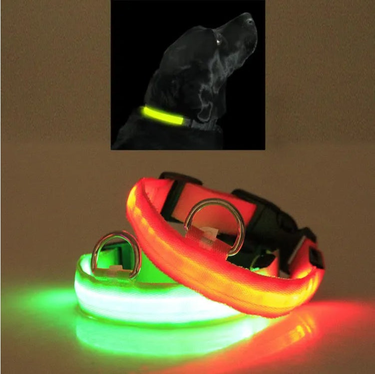 waterproof LED pet collar for outdoor safety use