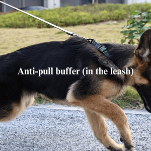 waterproof camouflage pet leash set for outdoor walking