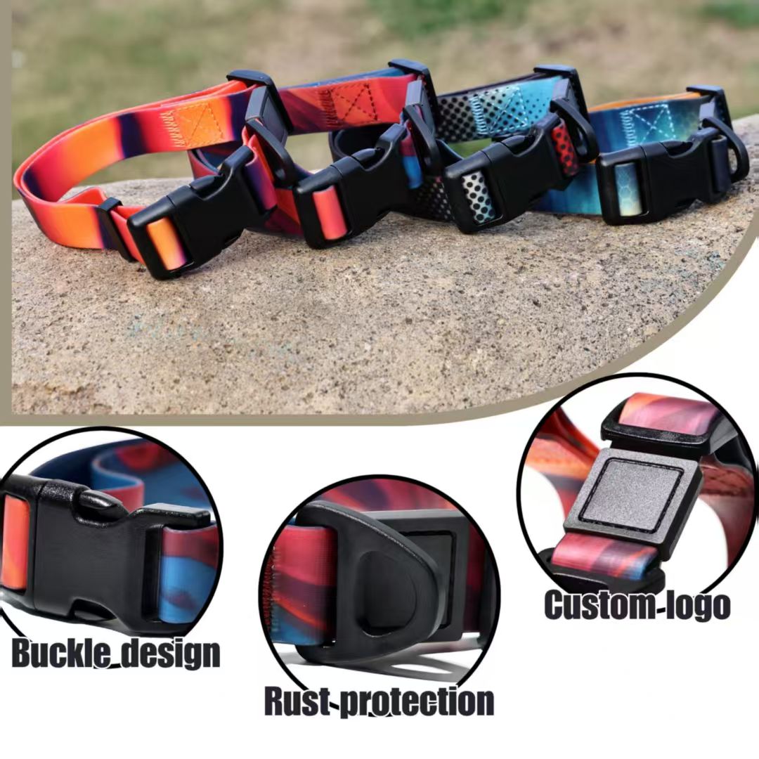 Waterproof pet walking leash for rainy outdoor adventures