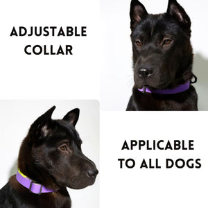 Wear-resistant dog leash for training and outdoor activities